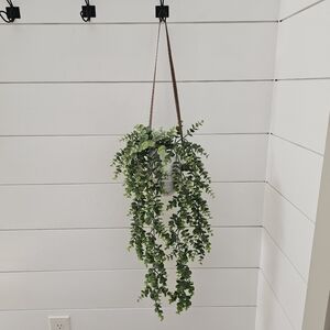 New Boho ceramic wall pocket vase with hanging Eucalyptus greenery